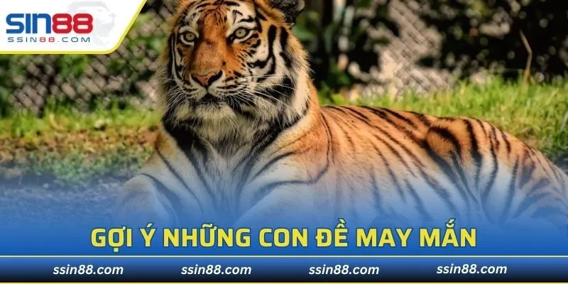 Gợi ý những con lô đề may mắn giúp bạn phát tài lập tức