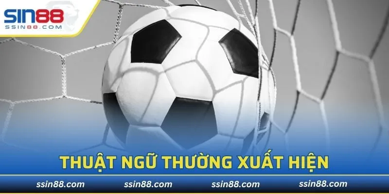 Thuật ngữ thường xuất hiện